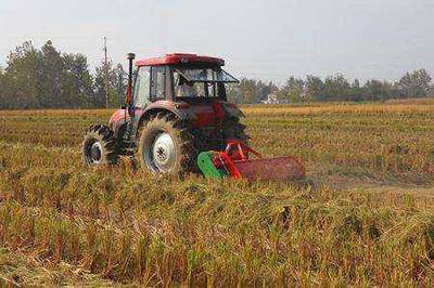 西和县强阳农机服务专业合作社 多元农业机械服务助力现代农业发展